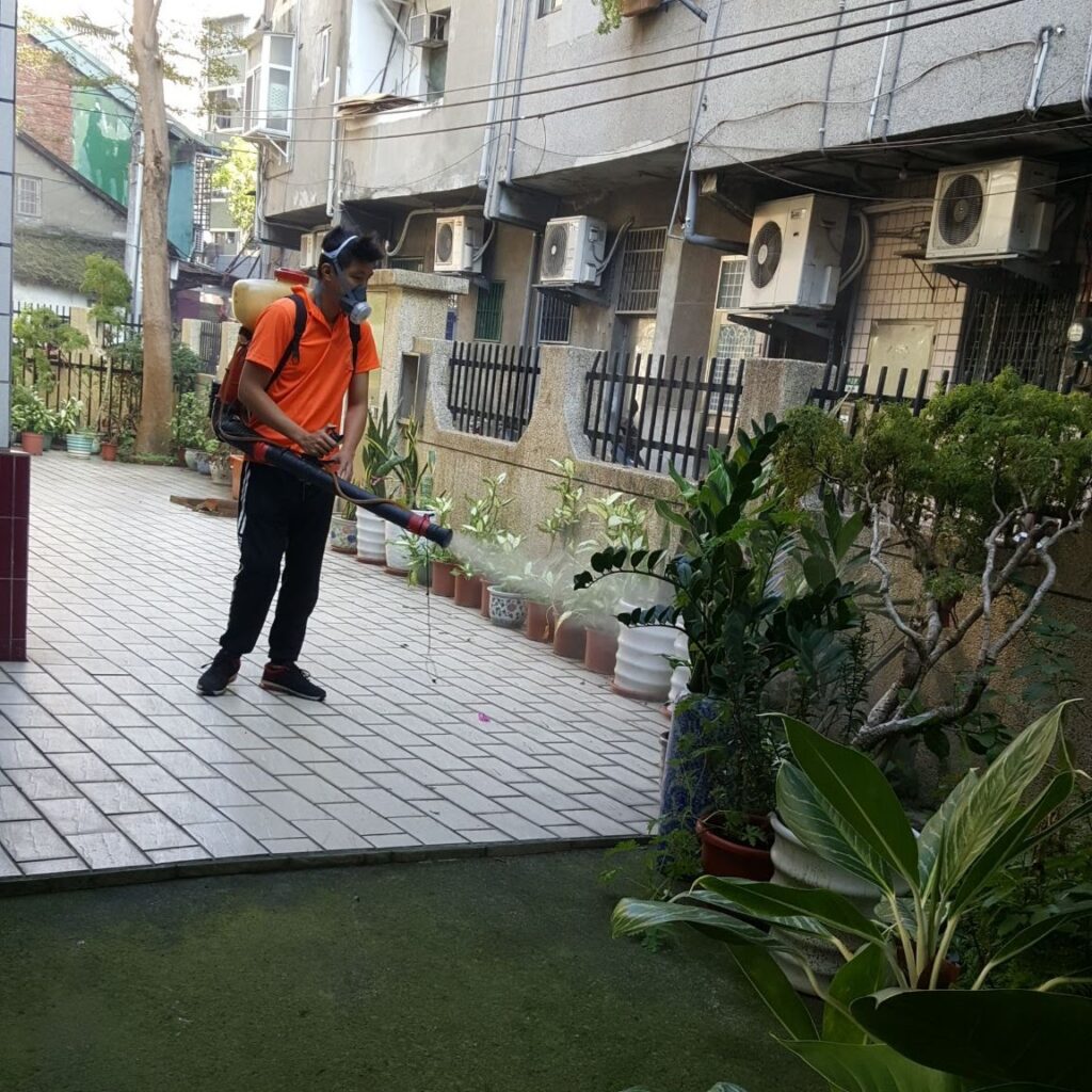 新北校園除蟲｜除蟲服務｜纛桔病媒