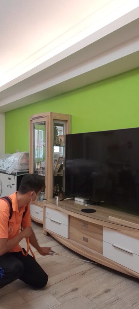 除蟲公司處理蟑螂用什麼方法?效果能維持多久?