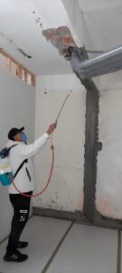除蟲公司