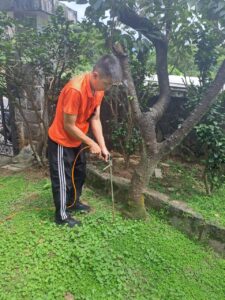 戶外土壤白蟻防治作業