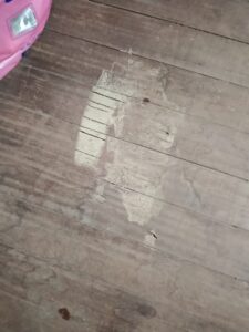 白蟻危害足跡