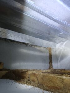 天花板內部白蟻裝況
