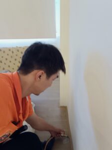 白蟻防治施工
