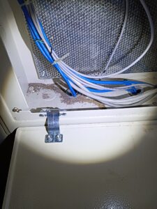 網路線箱內也無一倖免