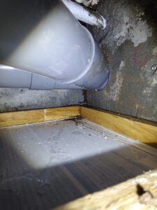 廁所管道處白蟻足跡