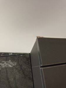 櫃體上方擴散出來的白蟻足跡