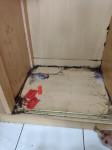 衣櫃內的白蟻足跡