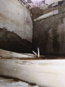 另外的角落處正在築起另一個白蟻窩
