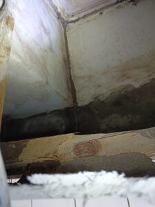 蟻道一路延伸