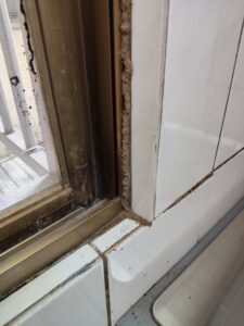 窗戶框裂縫導致白蟻侵入
