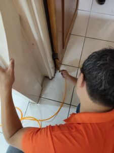 白蟻防治施工