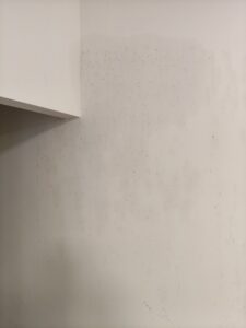 滿滿的蛀蟲孔洞