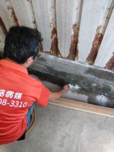 白蟻防治作業