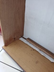 抽屜櫃白蟻裝況
