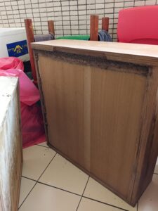 抽屜櫃後方白蟻狀況