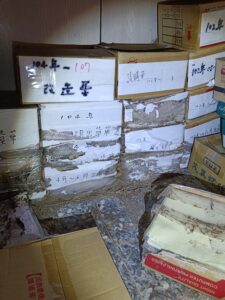 白蟻啃食跡象