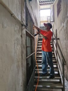 白蟻防治施工