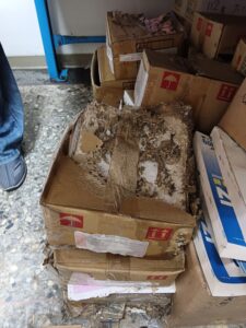 白蟻啃食跡象