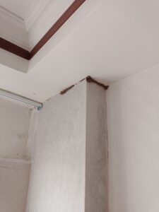 白蟻足跡
