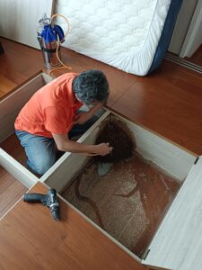 白蟻防治作業