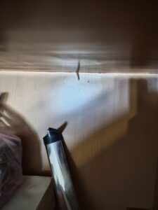 櫃子內蟻道悄悄在進行