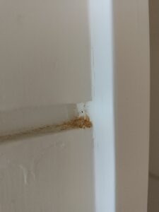 粉蛀蟲孔洞