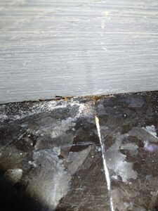 磁磚裂縫內的白蟻足跡
