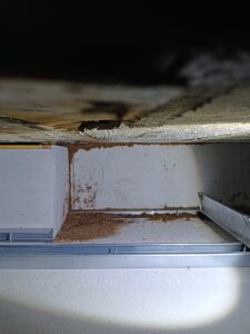 RC結構內天花板上方白蟻足跡