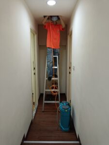 白蟻防治施工
