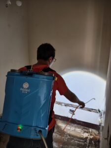 白蟻防治施工