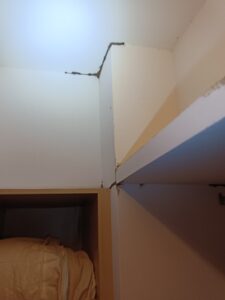 天花板上方白蟻足跡
