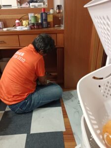 白蟻防治