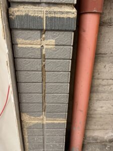 白蟻蹤跡