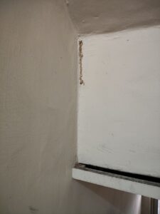白蟻足跡