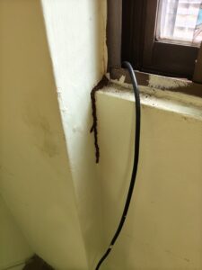 水泥牆體延伸出白蟻足跡