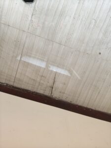 白蟻蹤跡