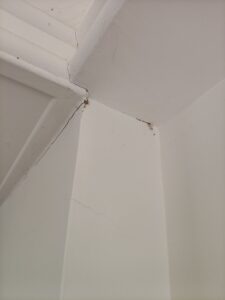 白蟻蹤跡