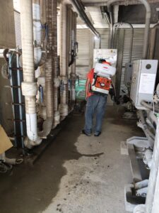 除蟲作業