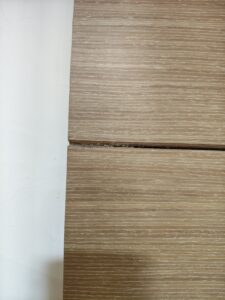 白蟻蹤跡