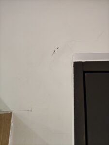 白蟻蹤跡