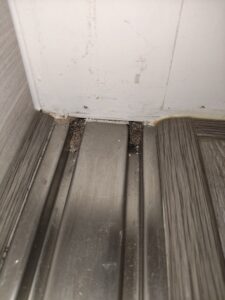 矽酸鈣板內的白蟻足跡跑出