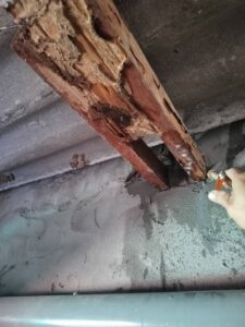 殘破不堪的木樑