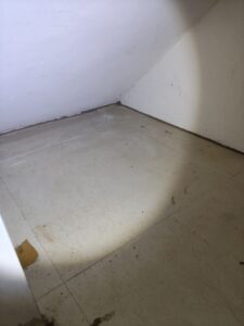 大理石地面冒出蟻道