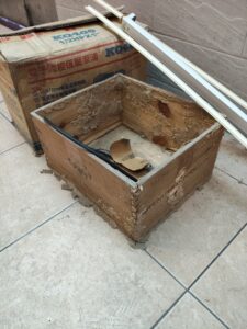 倉庫木頭櫃白蟻啃食