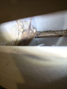 電視木頭櫃抽屜內白蟻啃食