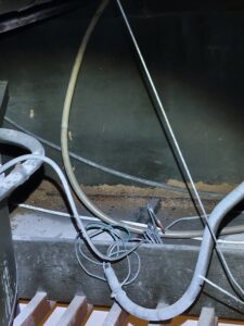 天花板頂部白蟻足跡