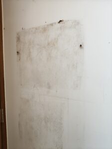 壁畫拿下後的牆面,破洞皆是白蟻腐蝕破口