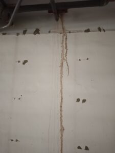 牆壁上蟻道痕跡