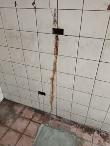 插座內的蟻道跑出