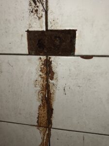 插座內佔滿蟻道